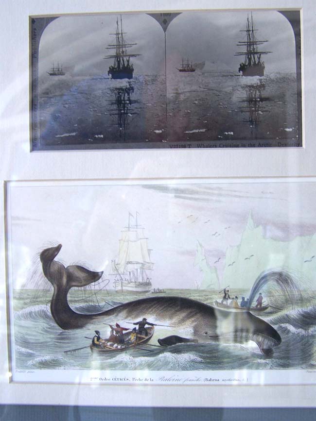 A framed grouping of 19th century Whaling related items — image 3